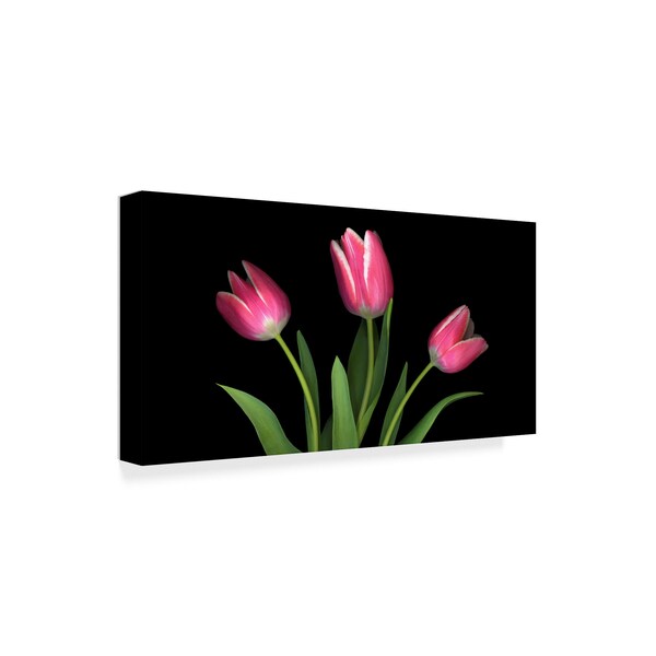 Susan S. Barmon 'Tulips 4' Canvas Art,16x32